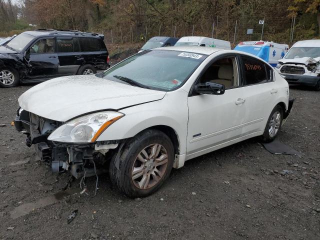 NISSAN ALTIMA 2010 1n4cl2ap0ac176726