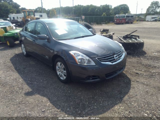 NISSAN ALTIMA 2010 1n4cl2ap0ac184437