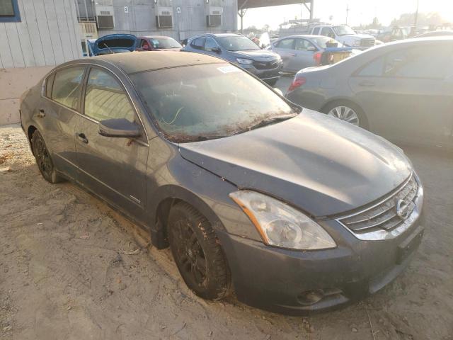 NISSAN ALTIMA HYB 2011 1n4cl2ap0bc175285