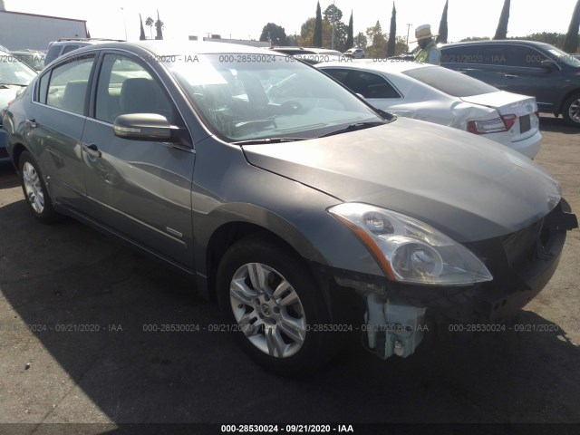 NISSAN ALTIMA 2010 1n4cl2ap1ac106569