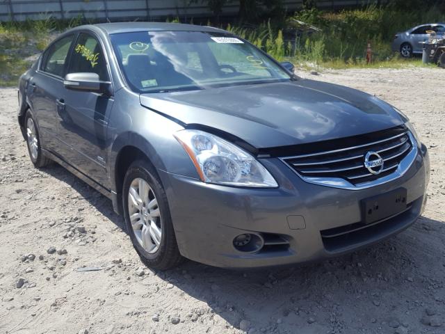 NISSAN ALTIMA HYB 2010 1n4cl2ap1ac117135