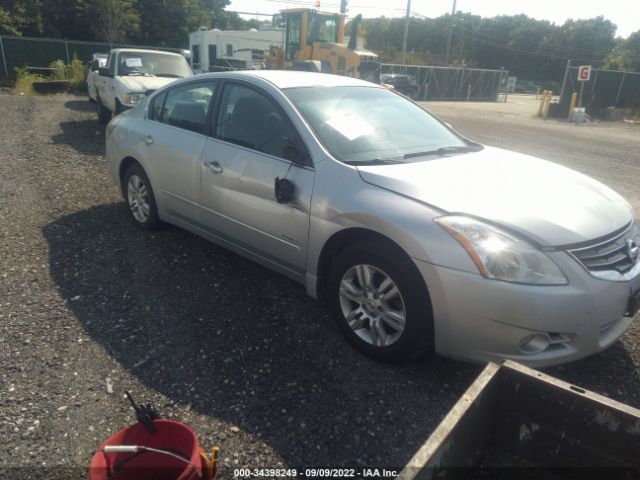 NISSAN ALTIMA 2010 1n4cl2ap1ac184429