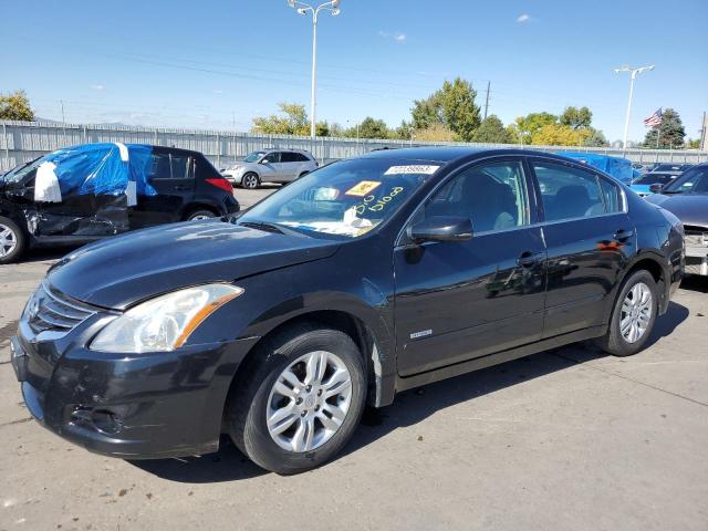 NISSAN ALTIMA 2011 1n4cl2ap1bc185291