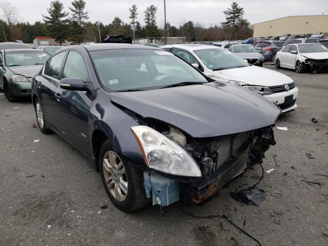 NISSAN ALTIMA HYB 2010 1n4cl2ap2ac101719