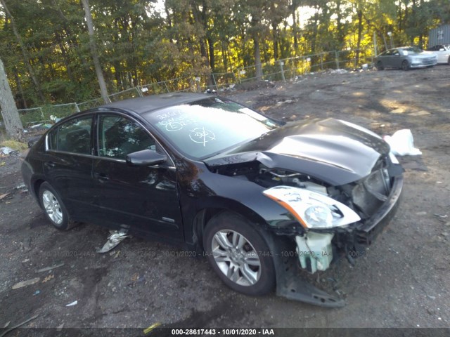 NISSAN ALTIMA 2010 1n4cl2ap2ac158728