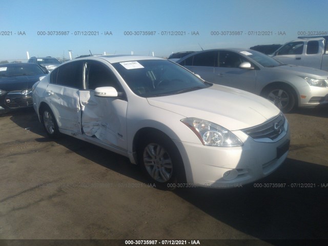 NISSAN ALTIMA 2010 1n4cl2ap2ac173469