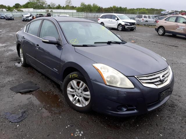 NISSAN ALTIMA HYB 2010 1n4cl2ap2ac177232