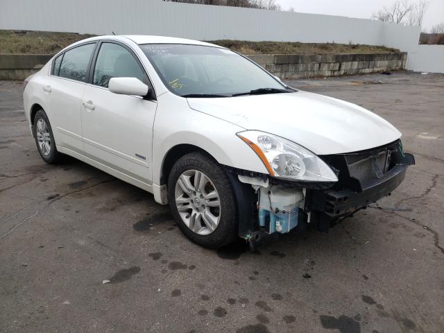 NISSAN ALTIMA HYB 2010 1n4cl2ap2ac187291