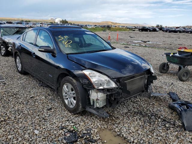 NISSAN ALTIMA HYB 2011 1n4cl2ap2bc104203