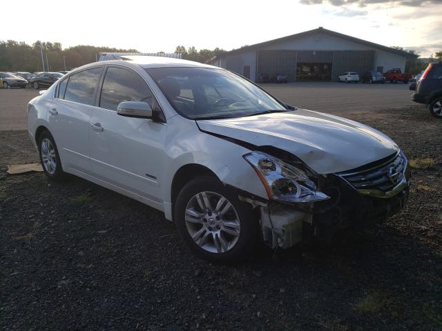 NISSAN ALTIMA HYB 2010 1n4cl2ap3ac102250