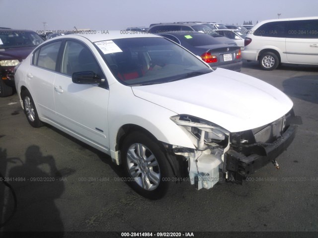 NISSAN ALTIMA 2010 1n4cl2ap3ac109036