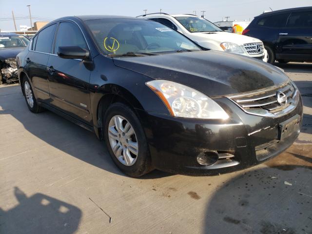 NISSAN ALTIMA HYB 2010 1n4cl2ap3ac121638