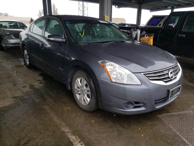 NISSAN ALTIMA HYB 2010 1n4cl2ap3ac158222