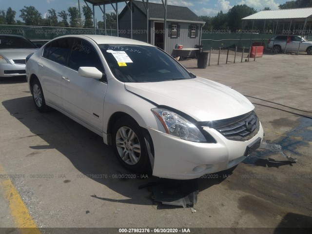 NISSAN ALTIMA 2010 1n4cl2ap3ac179913