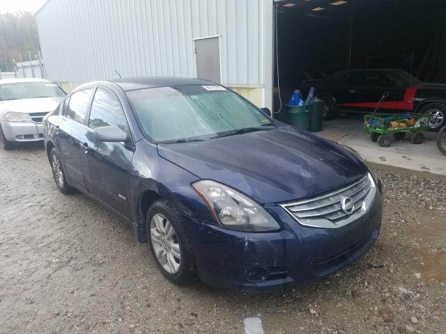 NISSAN ALTIMA HYB 2010 1n4cl2ap3ac181712