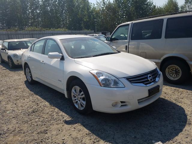 NISSAN ALTIMA HYB 2011 1n4cl2ap3bc161462