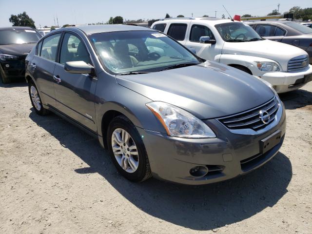 NISSAN ALTIMA HYB 2010 1n4cl2ap4ac106971