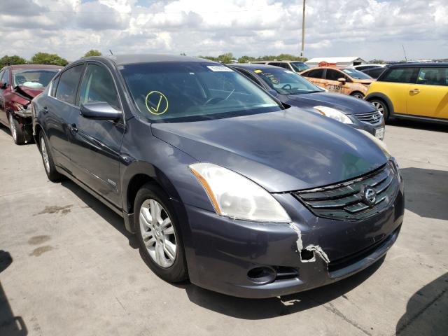 NISSAN ALTIMA HYB 2010 1n4cl2ap4ac108400