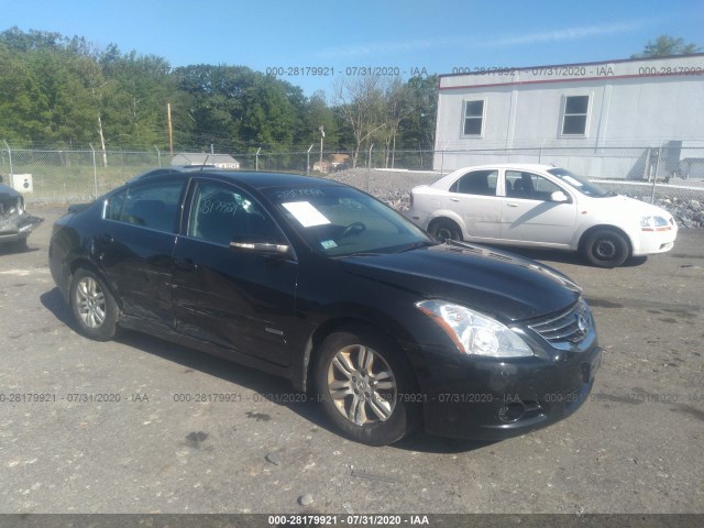 NISSAN ALTIMA 2010 1n4cl2ap4ac108610