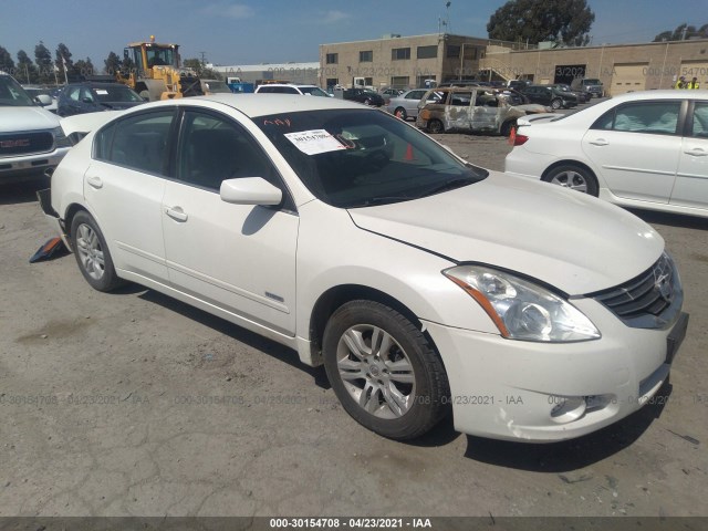 NISSAN ALTIMA 2010 1n4cl2ap4ac109661