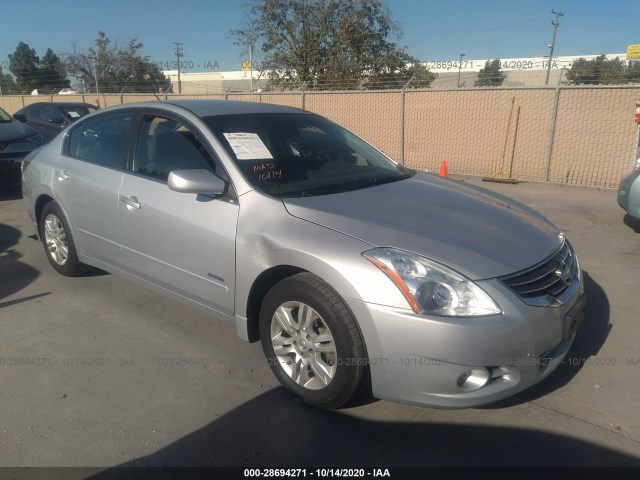 NISSAN ALTIMA 2010 1n4cl2ap4ac109949