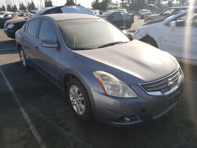 NISSAN ALTIMA HYB 2010 1n4cl2ap4ac110728