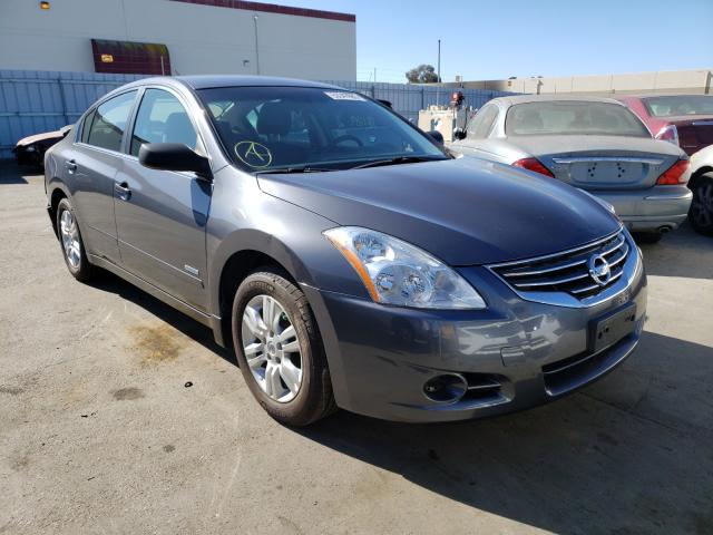 NISSAN ALTIMA HYB 2010 1n4cl2ap4ac113841