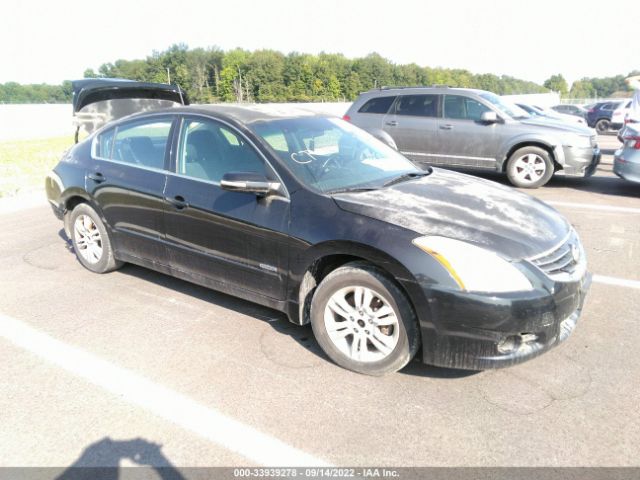 NISSAN ALTIMA 2010 1n4cl2ap4ac114486