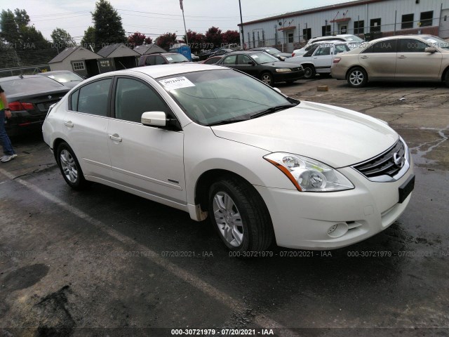 NISSAN ALTIMA 2010 1n4cl2ap4ac116500