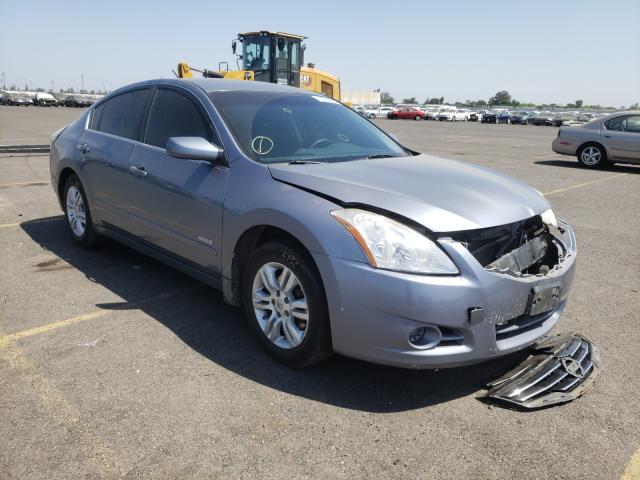 NISSAN ALTIMA HYB 2010 1n4cl2ap4ac117601