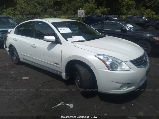 NISSAN ALTIMA 2010 1n4cl2ap4ac157709