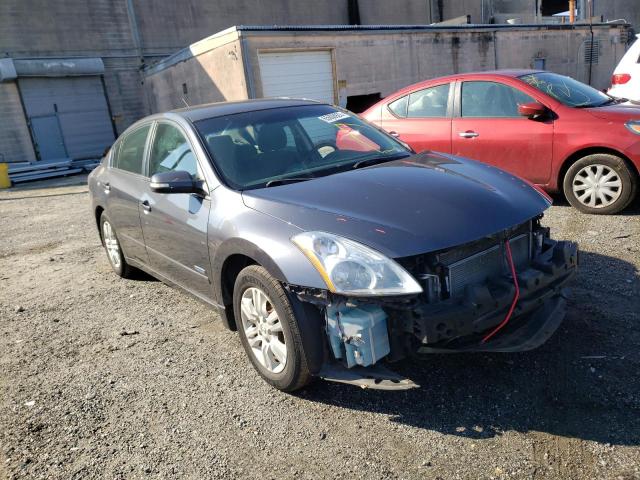 NISSAN ALTIMA HYB 2010 1n4cl2ap4ac157757