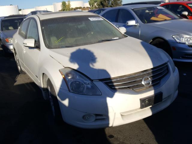 NISSAN ALTIMA HYB 2010 1n4cl2ap4ac162618