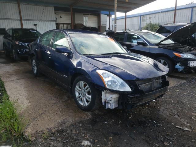 NISSAN ALTIMA HYB 2010 1n4cl2ap4ac170993