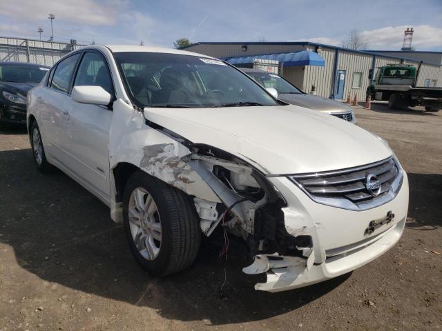 NISSAN ALTIMA HYB 2010 1n4cl2ap4ac195618