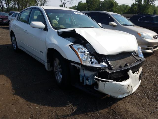 NISSAN ALTIMA HYB 2011 1n4cl2ap4bc176262