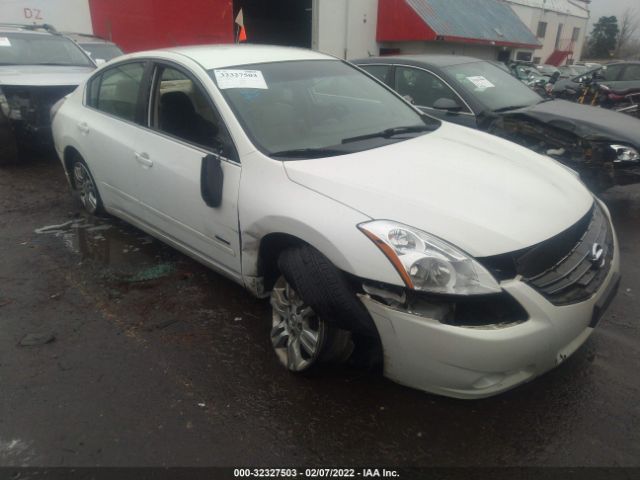 NISSAN ALTIMA 2011 1n4cl2ap4bc185558