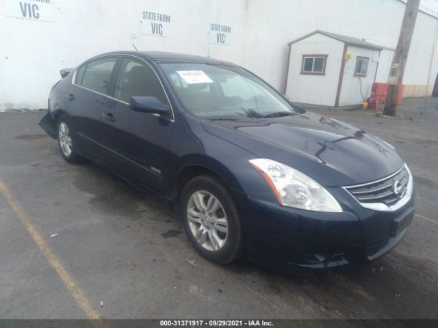 NISSAN ALTIMA 2010 1n4cl2ap5ac108874