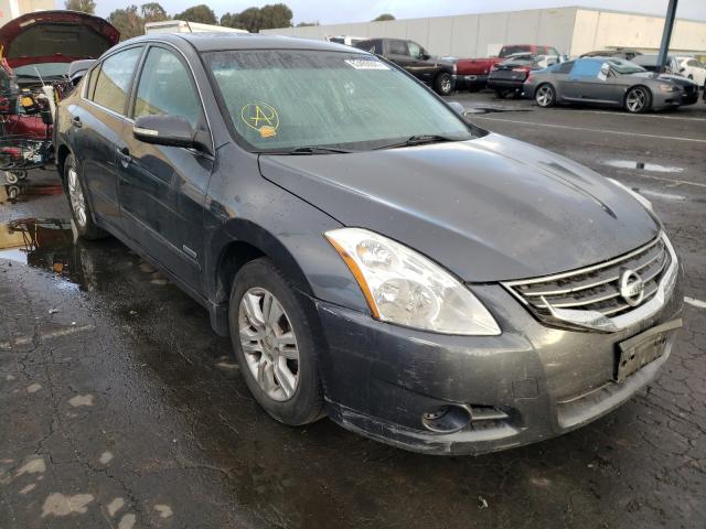 NISSAN ALTIMA HYB 2010 1n4cl2ap5ac156939