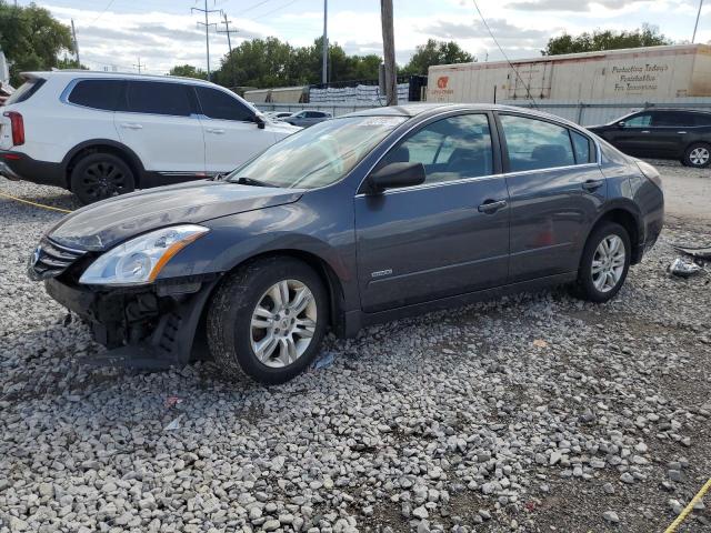 NISSAN ALTIMA HYB 2010 1n4cl2ap5ac161915