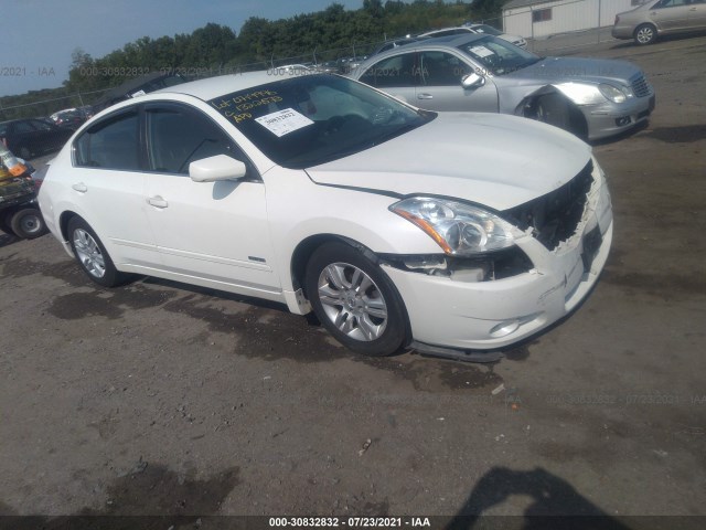 NISSAN ALTIMA 2011 1n4cl2ap5bc184967