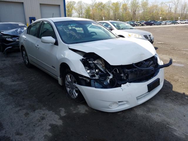 NISSAN ALTIMA HYB 2011 1n4cl2ap5bc185388