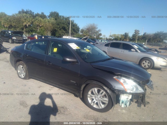 NISSAN ALTIMA 2010 1n4cl2ap6ac109256