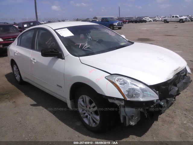 NISSAN ALTIMA 2010 1n4cl2ap6ac124694