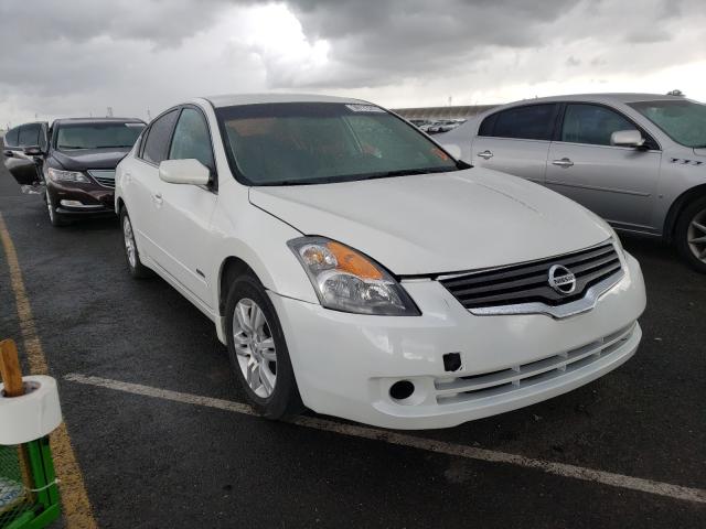 NISSAN ALTIMA HYB 2010 1n4cl2ap6ac126123