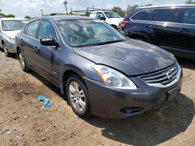 NISSAN ALTIMA HYB 2010 1n4cl2ap6ac141091