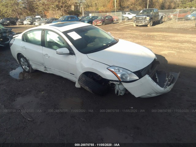 NISSAN ALTIMA 2010 1n4cl2ap6ac193689