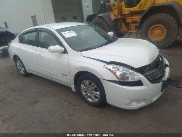 NISSAN ALTIMA 2011 1n4cl2ap6bc185349