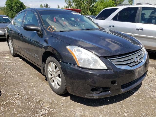 NISSAN ALTIMA HYB 2010 1n4cl2ap7ac109086