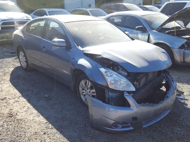 NISSAN ALTIMA HYB 2010 1n4cl2ap7ac119052